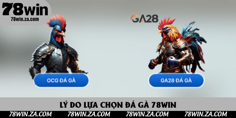 Đá Gà 78win: Trải Nghiệm Kịch Tính Tại Nhà Cái Uy Tín Hàng Đầu Châu Á 3 Lý do lựa chọn đá gà 78win
