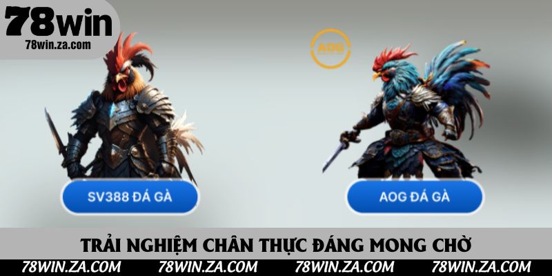 Đá Gà 78win: Trải Nghiệm Kịch Tính Tại Nhà Cái Uy Tín Hàng Đầu Châu Á 2 Trải nghiệm chân thực đáng mong chờ